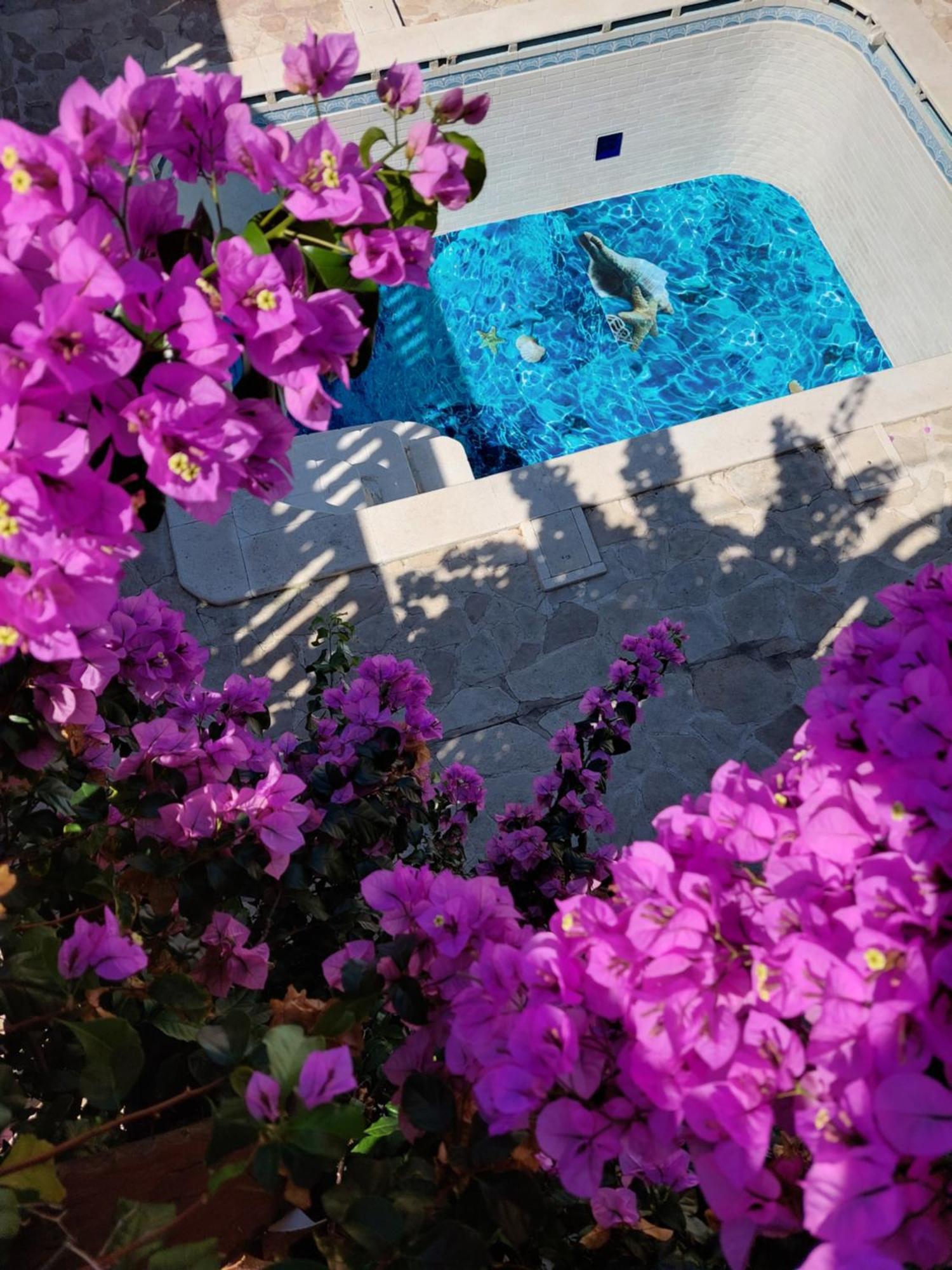 Studios Villa Romantica Zadar Exteriér fotografie